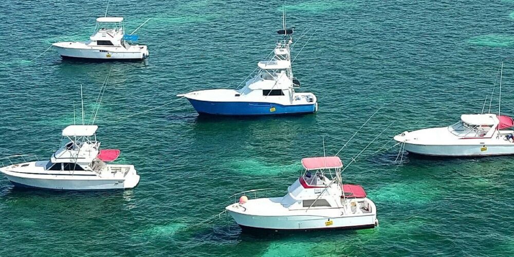 Professional fishing services offering guided trips on pristine waters, equipped with high-quality gear and expert knowledge, ensuring an enjoyable and successful fishing experience.