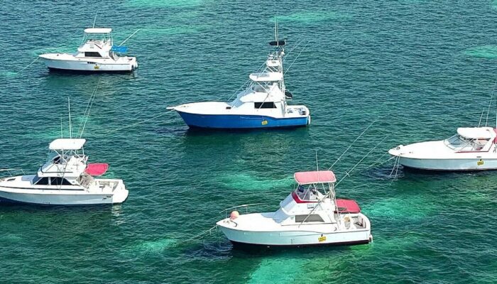 Professional fishing services offering guided trips on pristine waters, equipped with high-quality gear and expert knowledge, ensuring an enjoyable and successful fishing experience.