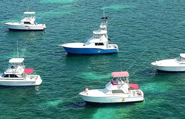 Professional fishing services offering guided trips on pristine waters, equipped with high-quality gear and expert knowledge, ensuring an enjoyable and successful fishing experience.