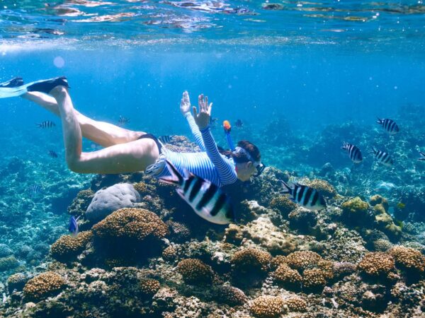 Catalina Island & Snorkeling