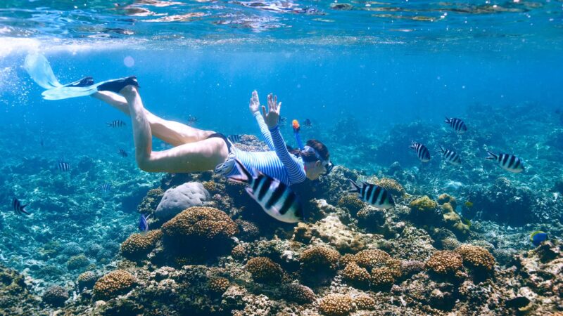 Catalina Island & Snorkeling